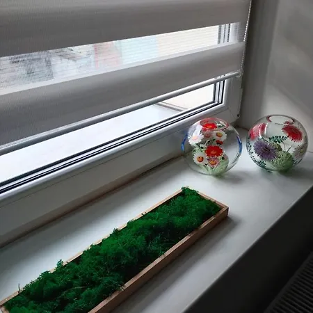 Przy Rynku Apartment *